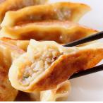 ショッピングギョウザ 餃子 冷凍 取り寄せ【北海道産豚肉の餃子60個セット（10個×6袋入）】北海道 お取り寄せ ギフト  グルメ 点心 おかず ぎょうざ ギョウザ まとめ売り商品