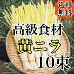  супер высококлассный пищевые ингредиенты!! Okayama Special производство желтый чесночный лук 10 пачка ввод бесплатная доставка 
