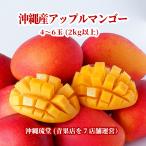 [ подарок максимальный ограничение соответствует ][ несессер ввод ] Okinawa производство Apple манго 4~6 шар (2kg и больше ) немедленно отгрузка возможно * вся страна везде бесплатная доставка Okinawa .. свежий прямая поставка 
