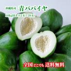 [ бесплатная доставка * немедленная отправка возможно ] Okinawa префектура производство синий папайя 10kg(12 шар ~20 шар ) Okinawa .. свежий прямая поставка 