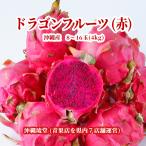 [ бесплатная доставка по всей стране ] Okinawa префектура производство питахайя ( красный ) 4kg(8~16 шар ) свежий прямая поставка 