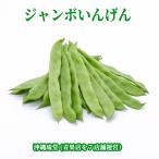 [ бесплатная доставка по всей стране ] Okinawa префектура производство jumbo ....4kg свежий прямая поставка 