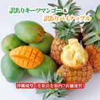  Okinawa префектура производство [ есть перевод ] ключ tsu манго ( иллюзия. манго )& Okinawa префектура производство [ есть перевод ] ананас комплект 1~2 шар (1kg и больше )&1~2 шар (1kg и больше )[ бесплатная доставка * немедленная отправка возможно ] свежий прямая поставка 