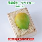 [ подарок максимальный ограничение соответствует *. в коробке ] Okinawa префектура производство ключ tsu манго ( иллюзия. манго ) 1 шар (600g и больше )[ немедленная отправка возможно * бесплатная доставка ] свежий прямая поставка 