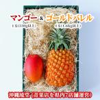 [ подарок максимальный ограничение соответствует ][ несессер ввод ] Okinawa префектура производство Apple манго & большой шар Gold barrel 1 шар (330g и больше )&1 шар (1.6kg и больше )[ бесплатная доставка * немедленно отгрузка возможно ] свежий прямая поставка 