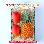 [ подарок максимальный ограничение соответствует ][ несессер ввод ] Okinawa префектура производство Apple манго & большой шар Gold barrel 2 шар (660g и больше )&1 шар (1.6kg и больше )[ бесплатная доставка * немедленно отгрузка возможно ] свежий прямая поставка 