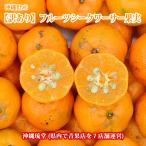 [ бесплатная доставка по всей стране ] Okinawa префектура производство [ есть перевод ] фрукты si-kwa-sa- плоды ( желтый золотой (...)si-kwa-sa-)2kg свежий прямая поставка 
