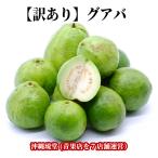 商品画像3