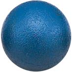 ダンノ DANNO 鉄製砲丸 男子/中学・U18 直径114mm 5kg 砲丸投げ グランド用品 備品 器具 学校 体育 授業 教育 部活 練習 トレーニング クラブ  D1250