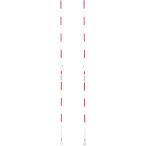 ショッピングエバニュー エバニュー Evernew 【メーカー直送品】 バレーネットアンテナDX 学校体育 体育 部活 授業 クラブ チーム アンテナ ワンタッチタイプ アンテナ止具付  EKE020