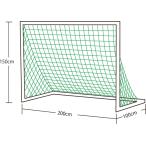 エバニュー EVERNEW ミニサッカーゴールネットM101 学校体育 体育 部活 授業 クラブ チーム 2枚1組 角目タイプネット  EKU029