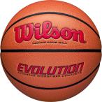 ウイルソン Wilson EVOLUTION ゲームボー