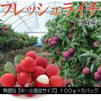  Miyazaki префектура производство свежий laichi100g×5 упаковка 