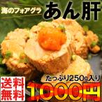 訳あり 賞味期限10/19 あん肝 珍味 レトルト 酒の肴 常温保存 海のフォアグラ 鮟鱇 肝 業務用 たっぷり250g