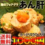 あん肝 珍味 レトルト 酒の肴 常温保存 海のフォアグラ 鮟鱇 肝 業務用 たっぷり250g セール 送料無料 メール便 ポイント消化