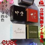 �\�D �ˌ��� ������� ���̓���^�C���\�D �i�`�������L���[�u 4�F �V���v�� ������ 2���� ��� ������