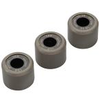  Daytona (Daytona) для мотоцикла DWR весовые ролики φ16×13mm 10.0g person направление указание нет 3 шт. комплект 90426