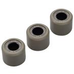  Daytona (Daytona) для мотоцикла DWR весовые ролики φ16×13mm 9.0g person направление указание нет 3 шт. комплект 90424