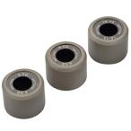  Daytona (Daytona) для мотоцикла DWR весовые ролики φ16×13mm 9.5g person направление указание нет 3 шт. комплект 90425