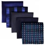 (silaks. Wing ) Shlax&amp;Wing полоса мужской pocket square 5 шт. комплект бизнес .. шелк 