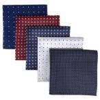 (silaks. Wing ) Shlax&amp;Wing полоса мужской pocket square 5 шт. комплект бизнес .. шелк 