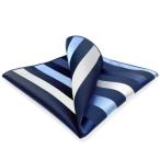 SHLAX&amp;WING полоса синий серебряный шелк pocket square мужской бизнес 