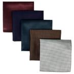 (silaks. Wing ) Shlax&amp;Wing полоса мужской pocket square 5 шт. комплект бизнес .. шелк 