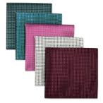 (silaks. Wing ) Shlax&amp;Wing полоса мужской pocket square 5 шт. комплект бизнес .. шелк 
