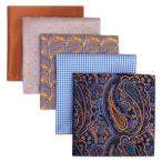(silaks. Wing ) Shlax&amp;Wing полоса мужской pocket square 5 шт. комплект бизнес .. шелк 