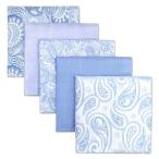 (silaks. Wing ) Shlax&amp;Wing полоса мужской pocket square 5 шт. комплект бизнес .. шелк 