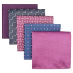 (silaks. Wing ) Shlax&amp;Wing мужской pocket square 5 шт. комплект бизнес .. шелк 