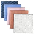 (silaks. Wing ) Shlax&amp;Wing полоса мужской pocket square 5 шт. комплект бизнес .. шелк 