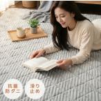 ラグ カーペット 洗える ラグマット 絨毯 北欧 おしゃれ らぐ マット リビング 正方形 長方形 滑り止め付き 床暖房対応 おしゃれ 防ダニ 子供 家族 春 秋 冬用