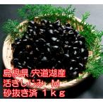 [ подарок ]. дорога озеро производство Yamato ...(.....) песок вытащенный завершено M(12mm~14mm) размер 1kg