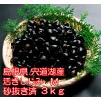 [ подарок ]. дорога озеро производство Yamato корбикула (.....) песок вытащенный завершено M(12mm~14mm) размер 3kg