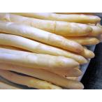  белый спаржа 1Kg ( Hokkaido производство *L~2L) отгрузка время :5~6 месяц 