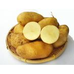 a поли n(M~L размер .)5Kg Hokkaido производство картофель отгрузка время 10~4 месяц производство изначальный прямая поставка 