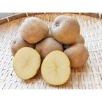 ki....(M~L.)5Kg Hokkaido производство картофель отгрузка время 10~4 месяц производство изначальный прямая поставка 