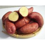  добродетель -слойный yo- Dell wa стул (M~L размер .)5Kg Hokkaido производство картофель отгрузка время 10~4 месяц производство изначальный прямая поставка 