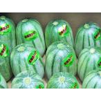  север море can ro(L размер *4Kg*8 шар передний и задний (до и после) )×1 коробка Hokkaido производство ставрида японская uli отгрузка период :7~8 месяц 