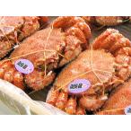 毛がに(ボイル冷凍) 450g×2尾 送料無料 北海道産毛ガニ