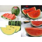  бесплатная доставка маленький шар ...2 вида комплект ( превосходящий )1.3~1.5Kg×2 шар Hokkaido производство запад . отгрузка время :7~8 месяц 