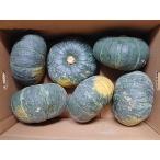 . делать marron 10kg (5~7 шар )×1 коробка Hokkaido производство юг . отгрузка время :9~10 месяц 