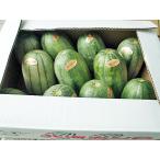  бесплатная доставка север море ...(2L~3L*8kg*9~13 шар степень )×1 коробка Hokkaido производство ставрида японская uli отгрузка период :7~8 месяц 