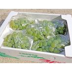  Niagara виноград 4Kg(10. передний и задний (до и после) )(2kg×2 коробка ) Hokkaido производство отгрузка время :9 месяц 