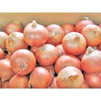  шар лук порей (L) 10Kg Hokkaido производство лук репчатый отгрузка время :9~4 месяц 