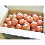  шар лук порей (L большой )20Kg Hokkaido производство лук репчатый отгрузка время :9~4 месяц 