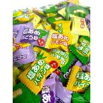 天塩の塩あめ 4種ミックス 500g (約125粒) 塩飴 業務用 熱中症 熱中症対策