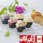 ショッピング引越し 挨拶 ギフト お歳暮 2025 ギフト クリスマス スイーツ 産地直送 銀座プレミアムアイスセレクション(85046)