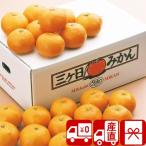  подарок по случаю конца года подарок 2025 фрукты . фрукты прямая поставка от производителя Shizuoka префектура производство три штук день мандарин 2.5kg(85153)